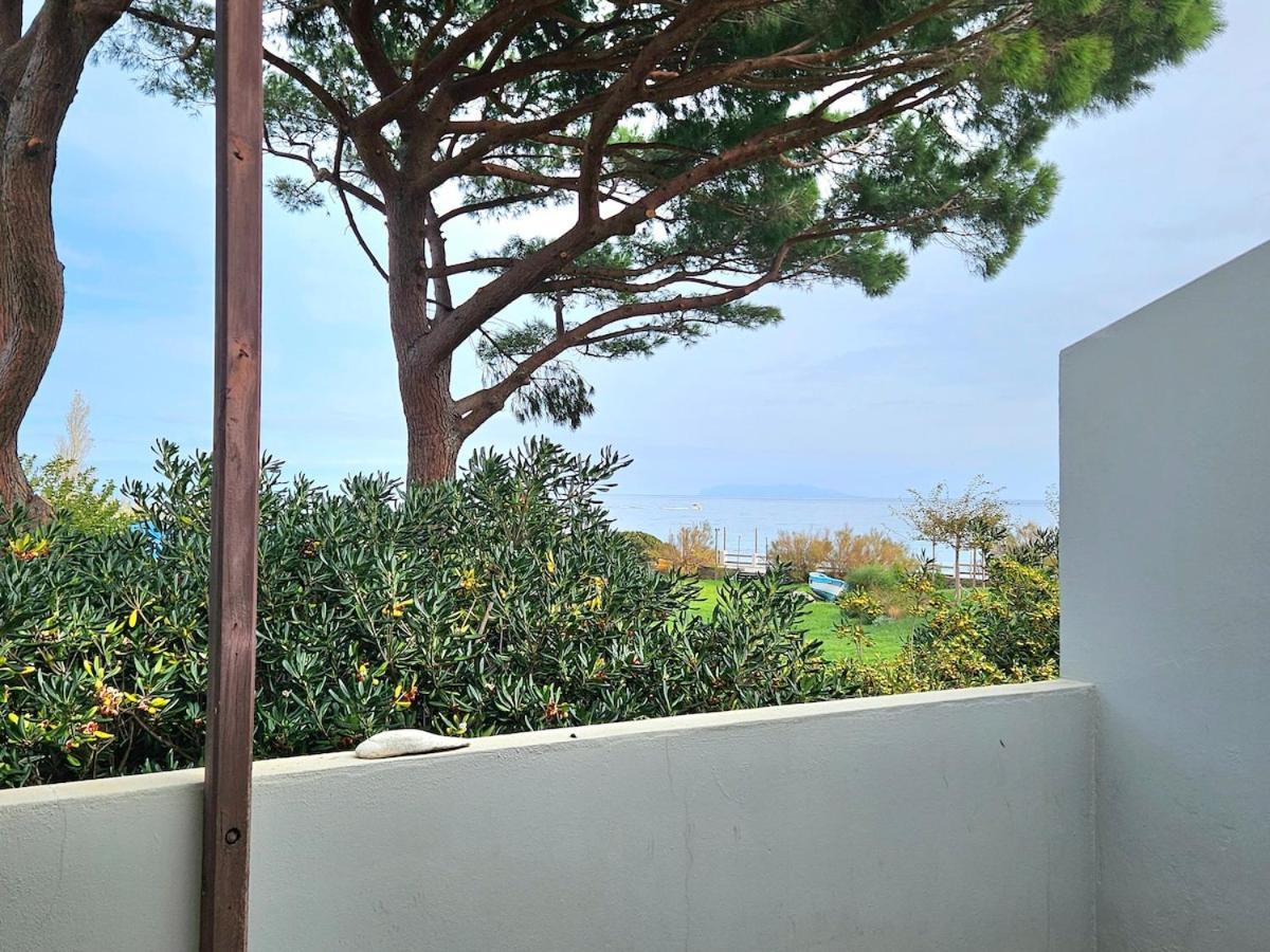 Domaine U Pozzu Apartment Sisco ภายนอก รูปภาพ